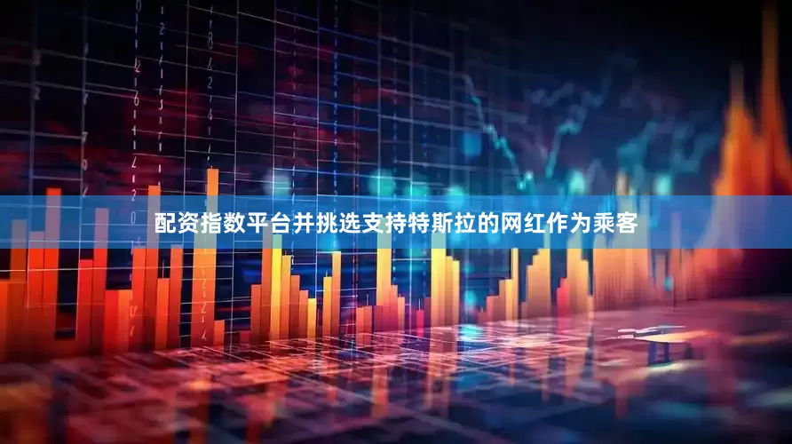 配资指数平台并挑选支持特斯拉的网红作为乘客