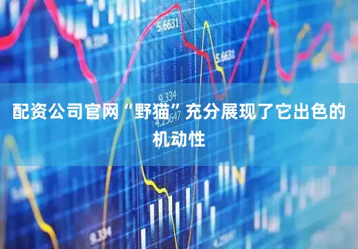 配资公司官网“野猫”充分展现了它出色的机动性