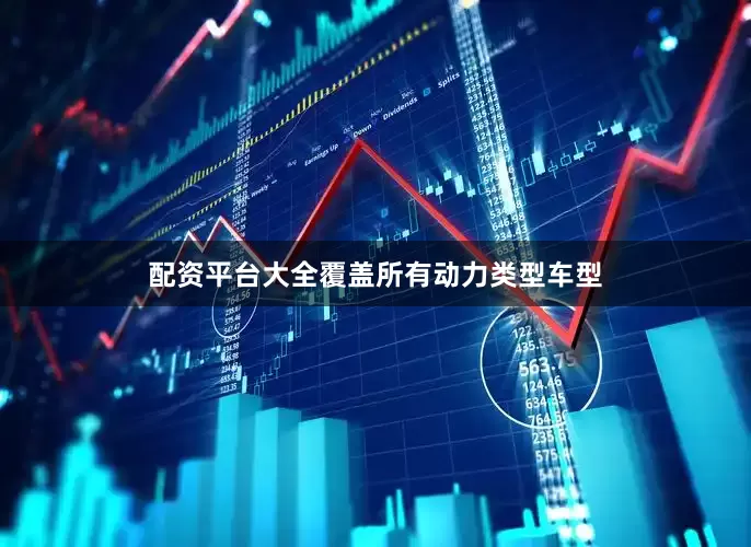 配资平台大全覆盖所有动力类型车型