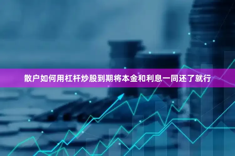 散户如何用杠杆炒股到期将本金和利息一同还了就行