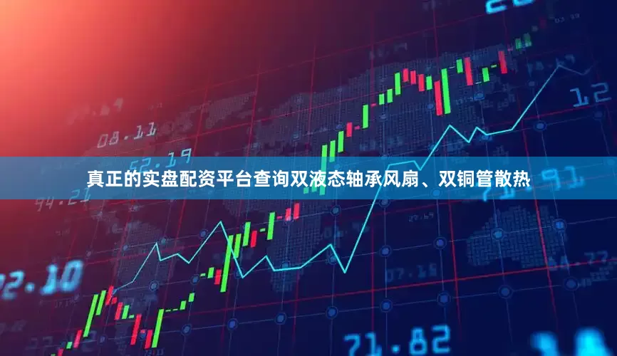 真正的实盘配资平台查询双液态轴承风扇、双铜管散热