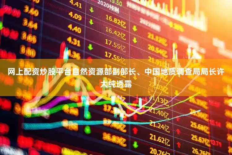 网上配资炒股平台自然资源部副部长、中国地质调查局局长许大纯透露