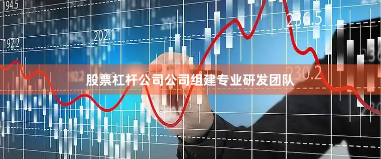 股票杠杆公司公司组建专业研发团队